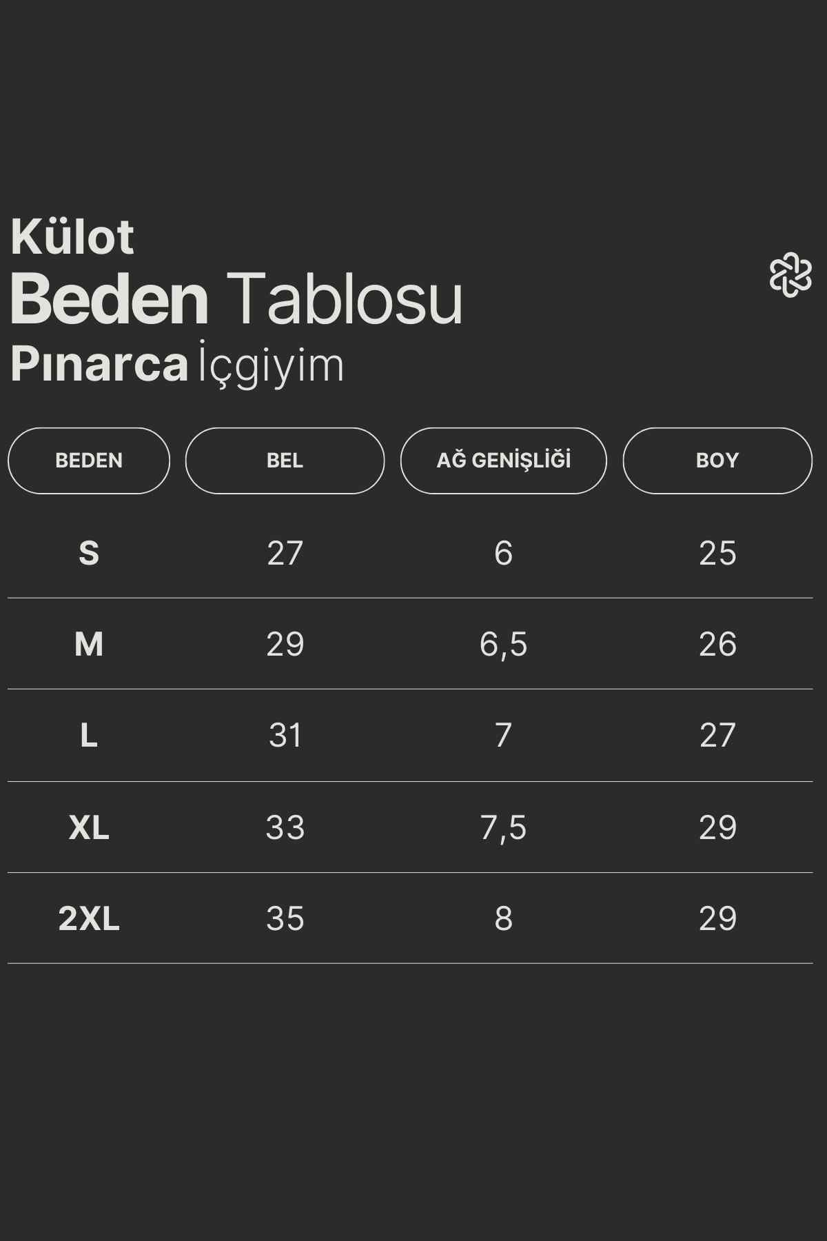 Pınarca Kadın Modal Hamile Külotu
