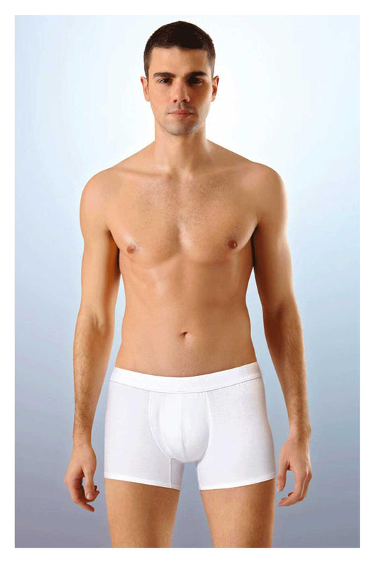 Anıt Erkek Boxer Modal