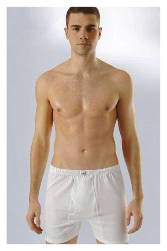 Anıt Erkek Boxer Penye Arjantin Boxer