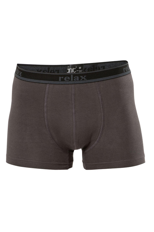 Anıt Erkek Boxer Relax Baskılı