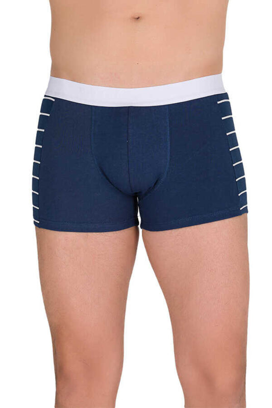 Berrak Erkek Boxer Zebra Modal Resimli