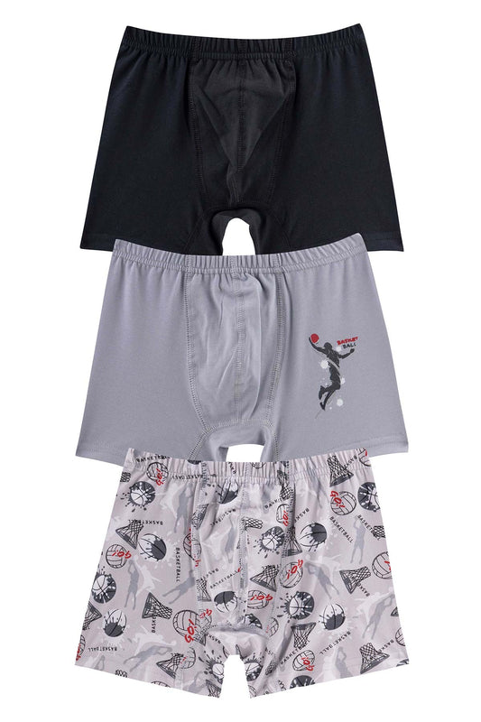 Domi Kids Erkek Çocuk Boxer 3'lü