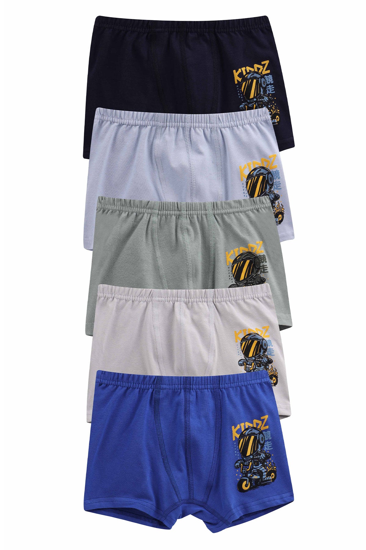 Domi Kids Erkek Çocuk Boxer Baskılı