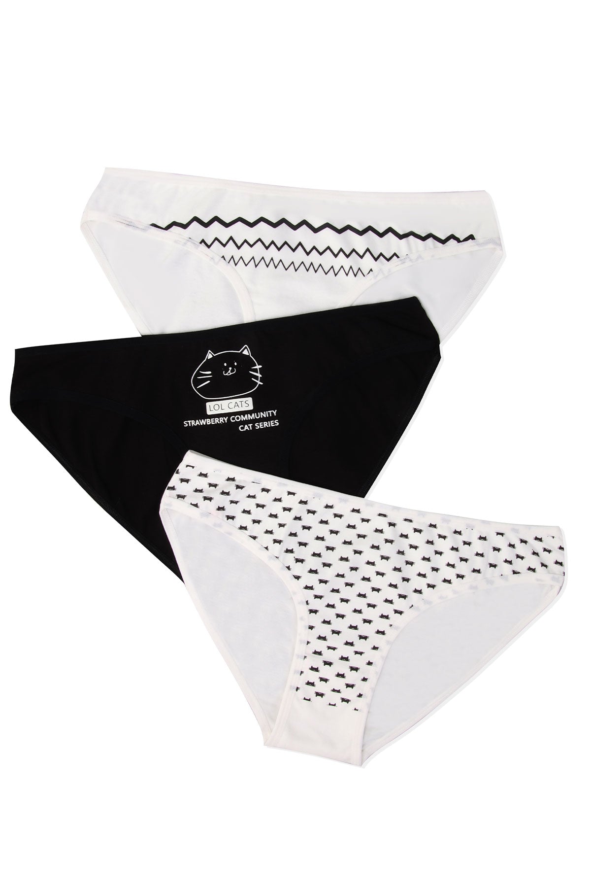 Dominant Kadın Bikini Külot 3'lü