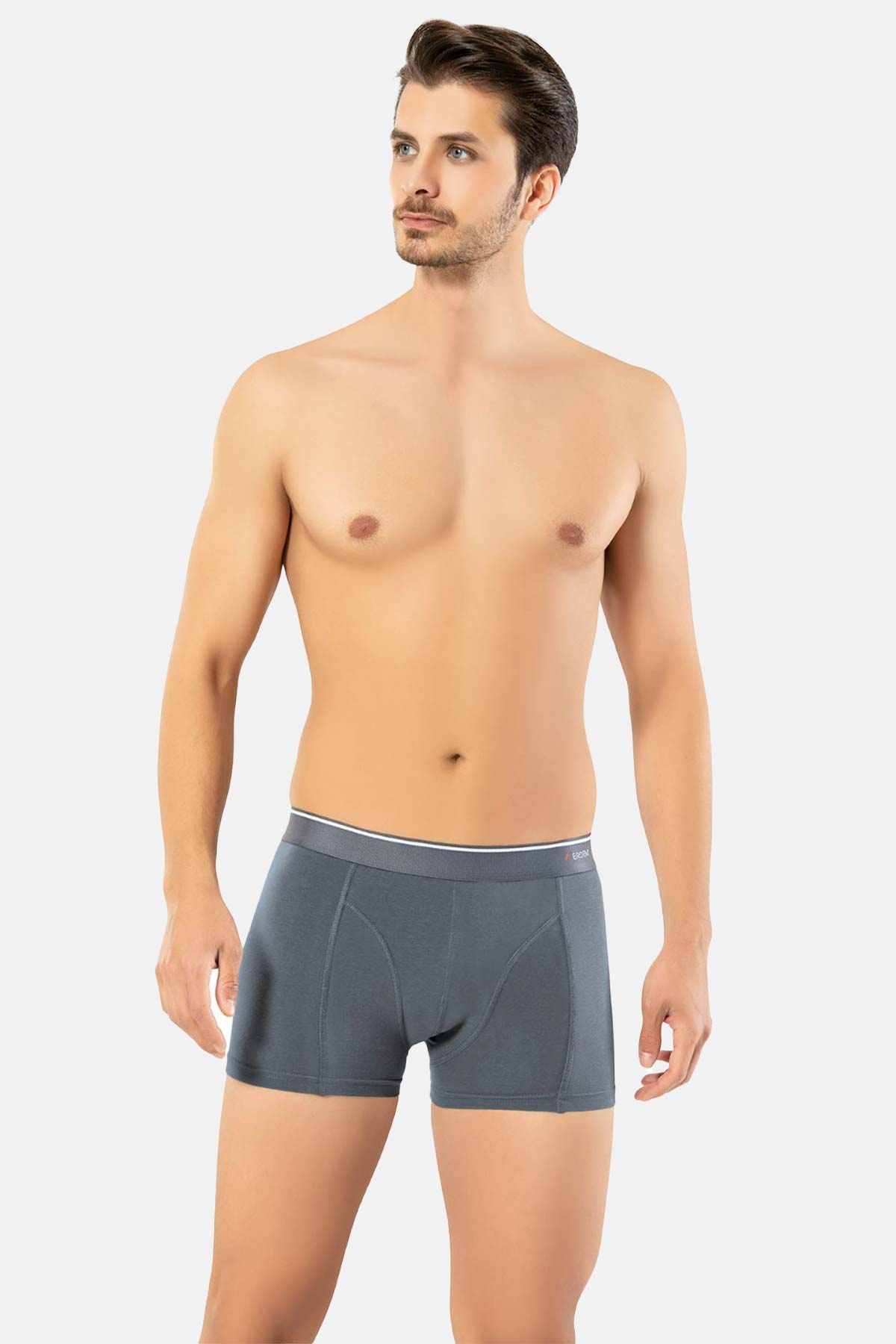 Erdem Erkek Boxer Pamuk Elastan Klasik