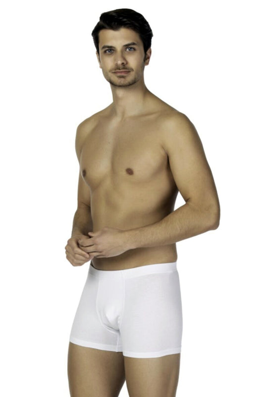 DS Damat Trendy hipster boxer 2'li set detay görünümü – modern kesim ve kaliteli kumaş