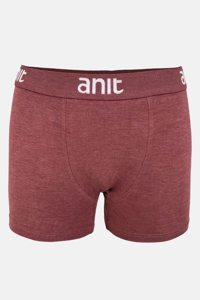 Anıt Erkek Boxer Bambu Melanj