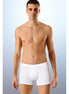 Anıt Erkek Boxer Modal