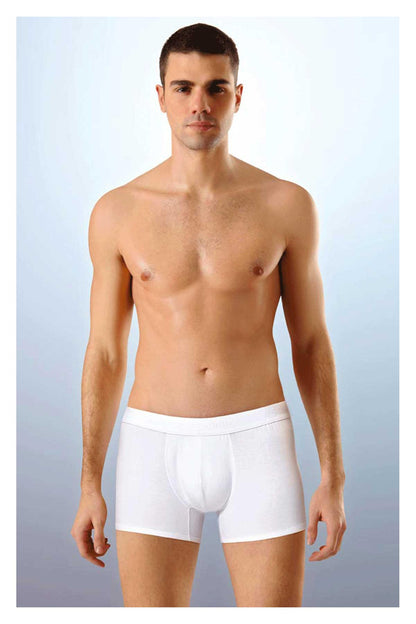 Anıt Erkek Boxer Modal
