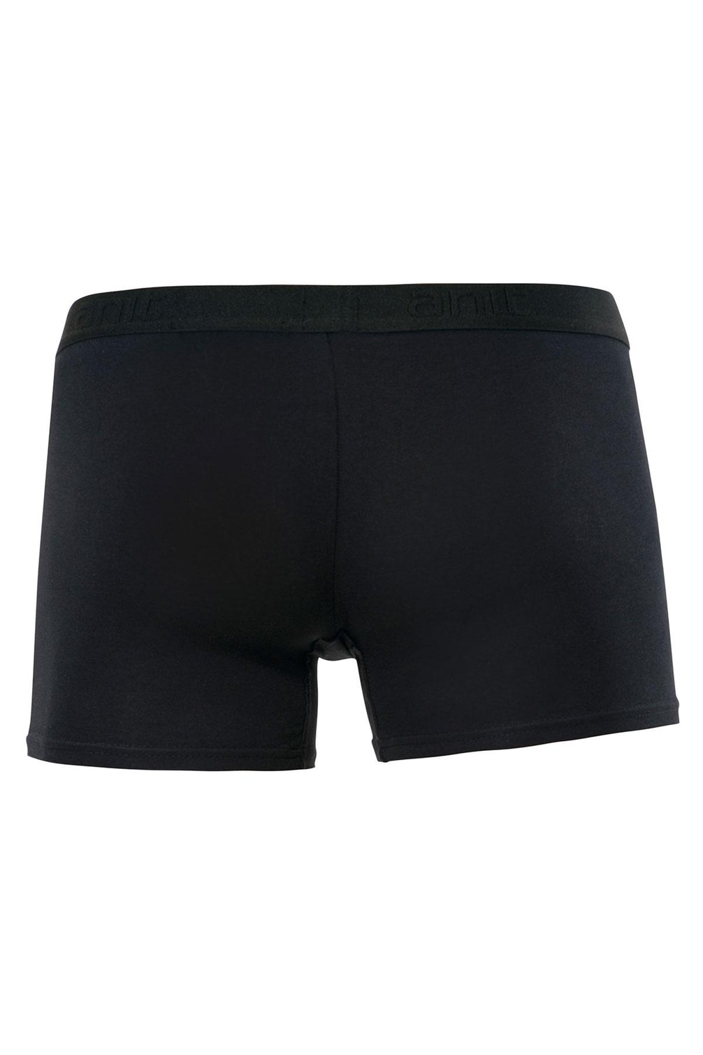 Anıt Erkek Boxer Modal