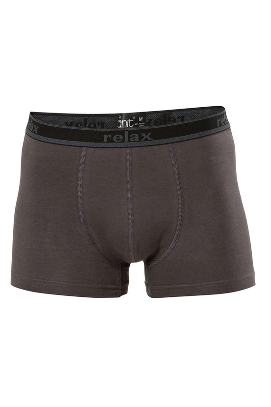 Anıt Erkek Boxer Relax Baskılı