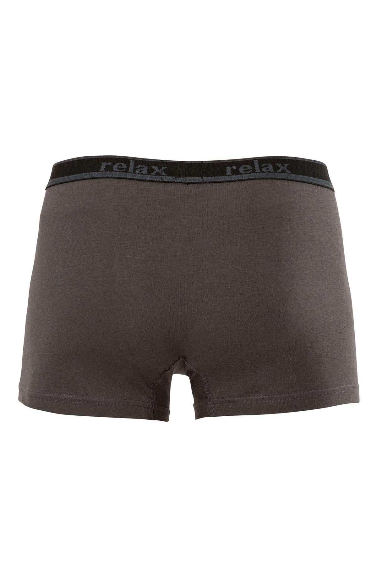 Anıt Erkek Boxer Relax Baskılı