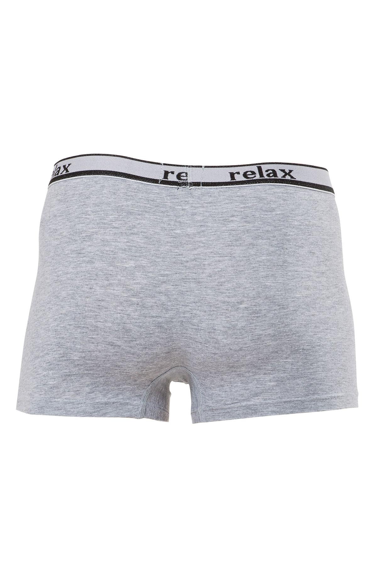 Anıt Erkek Boxer Relax Baskılı