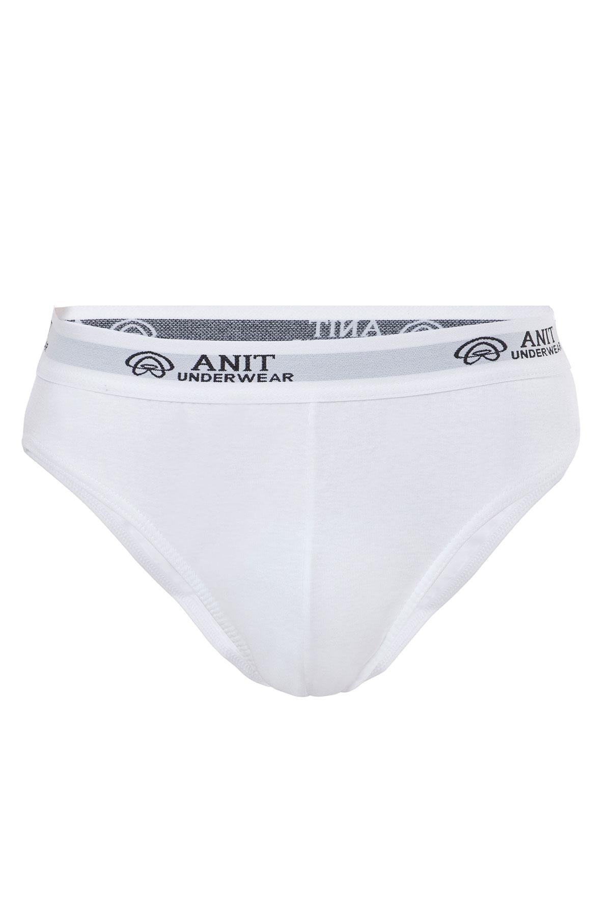 Anıt Erkek Ribana Slip Külot