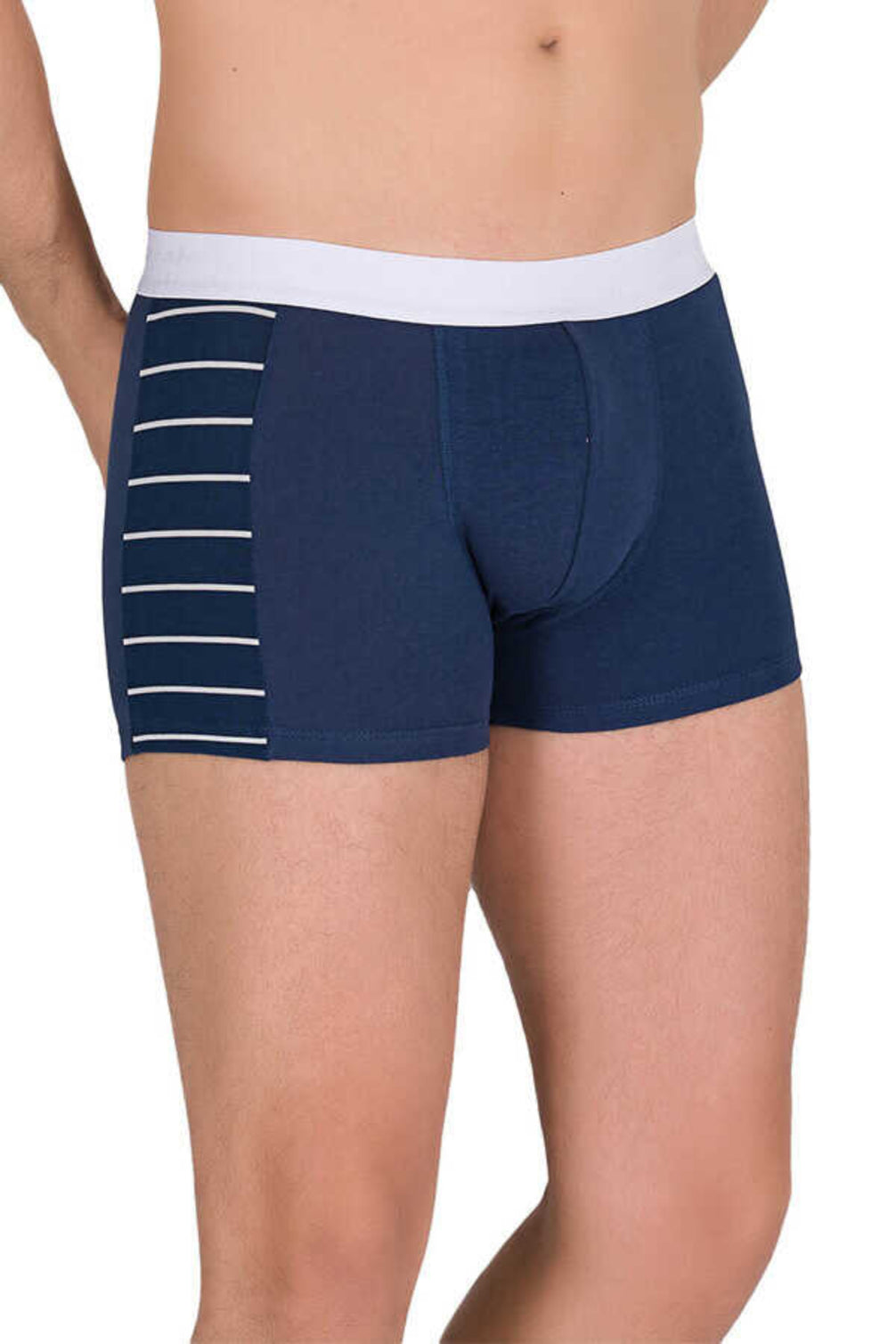 Berrak Erkek Boxer Zebra Modal Resimli
