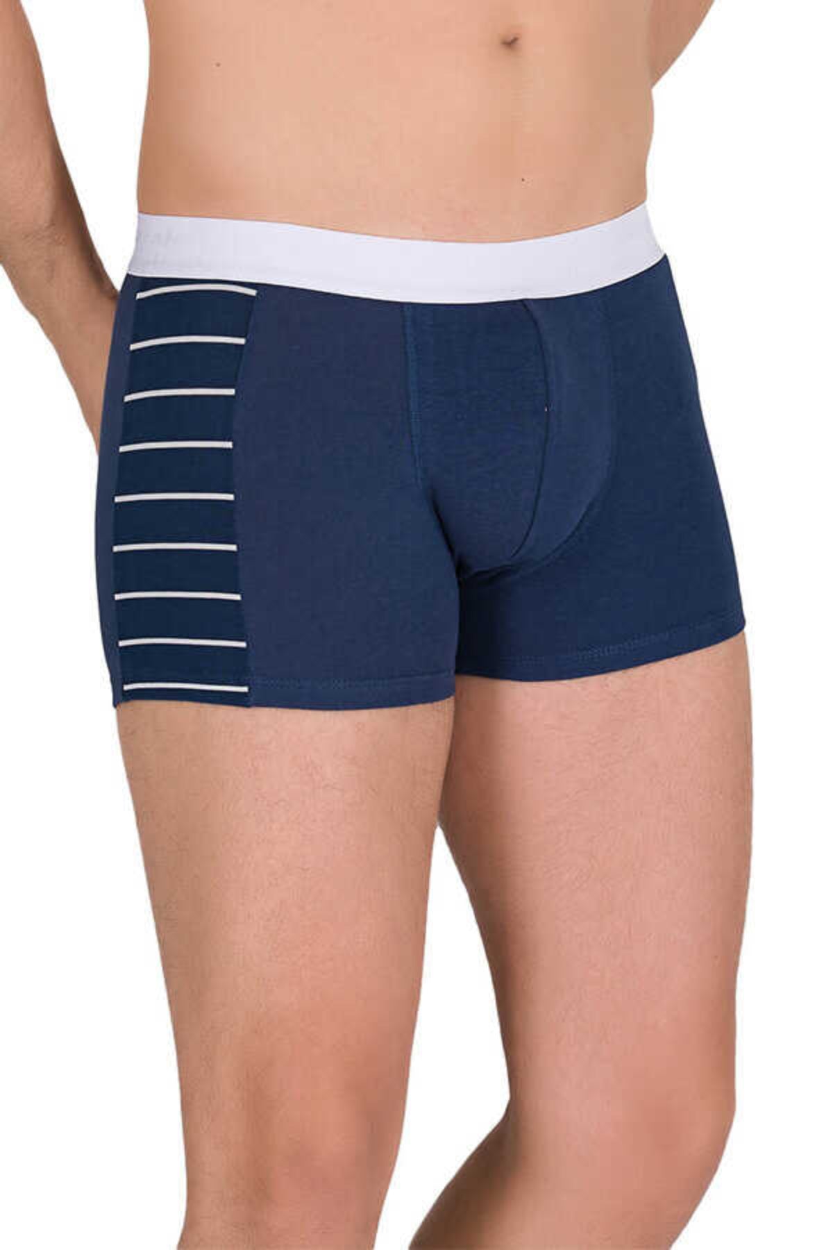 Berrak Erkek Boxer Zebra Modal Resimli