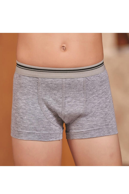Berrak Erkek Çocuk Boxer Modal Resimli