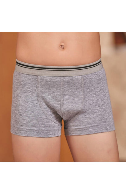 Berrak Erkek Çocuk Boxer Modal Resimli