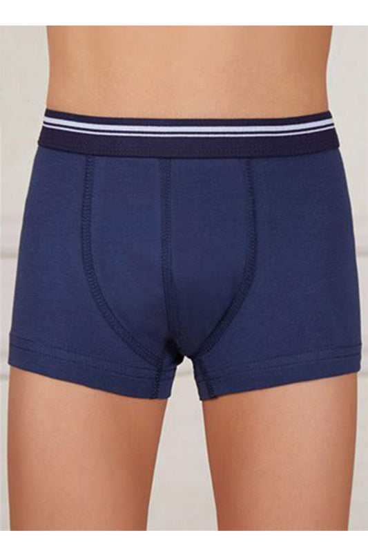 Berrak Erkek Çocuk Boxer Modal Resimli