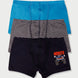 Domi Kids Erkek Çocuk Boxer 3'lü