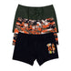 Domi Kids Erkek Çocuk Boxer 3'lü