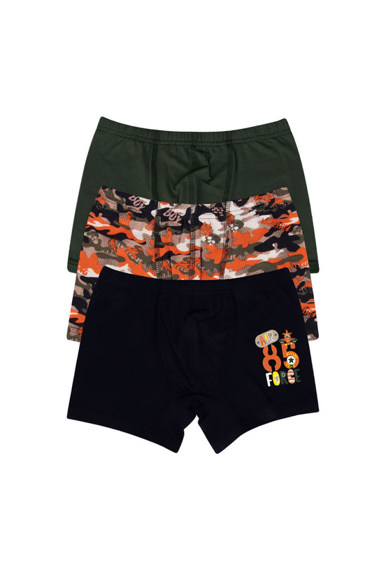 Domi Kids Erkek Çocuk Boxer 3'lü