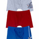 Domi Kids Erkek Çocuk Boxer 3'lü