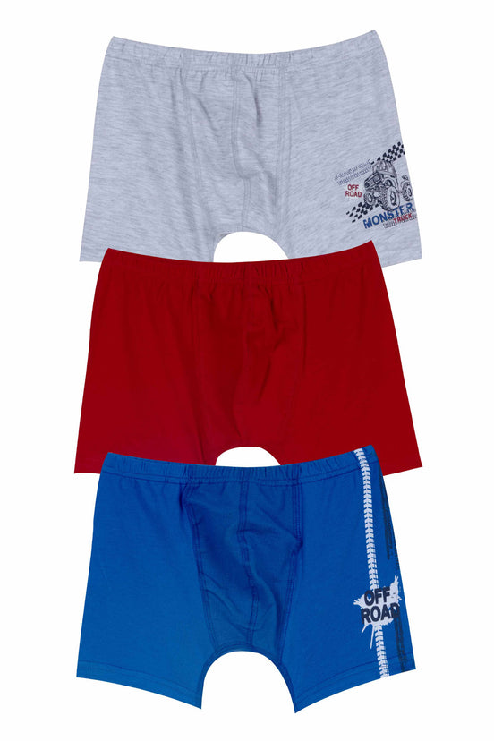 Domi Kids Erkek Çocuk Boxer 3'lü