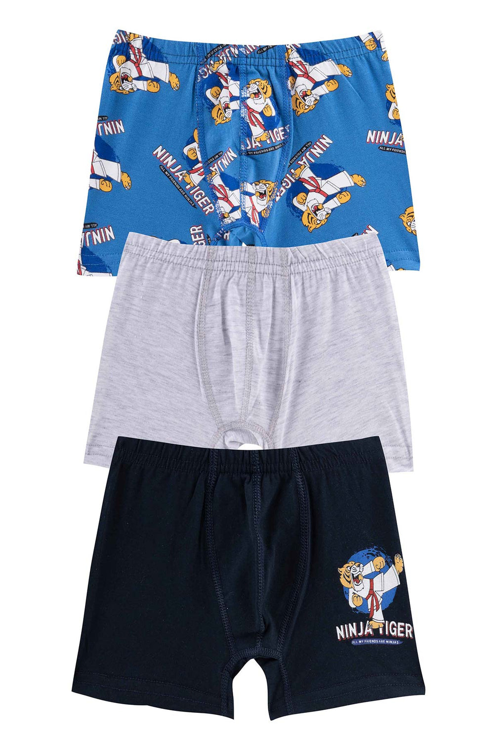 Domi Kids Erkek Çocuk Boxer 3'lü