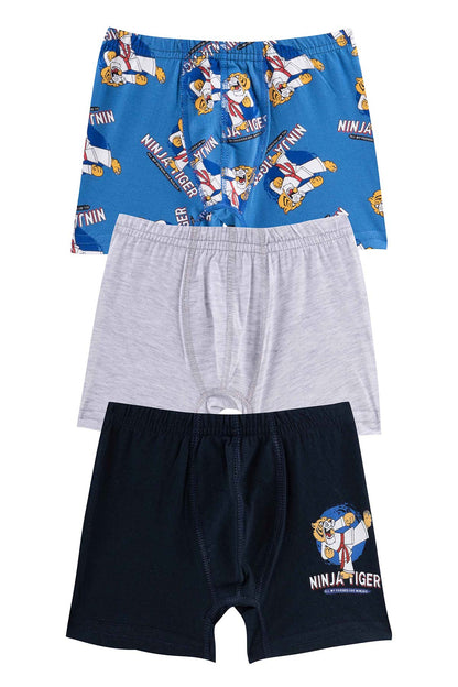 Domi Kids Erkek Çocuk Boxer 3'lü