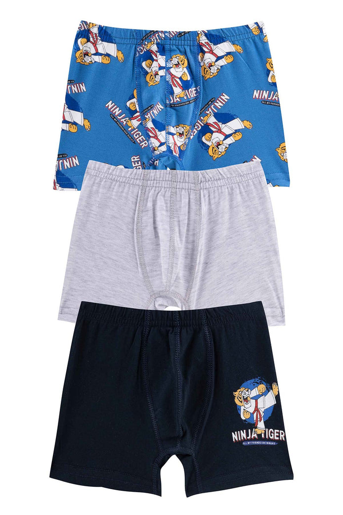 Domi Kids Erkek Çocuk Boxer 3'lü