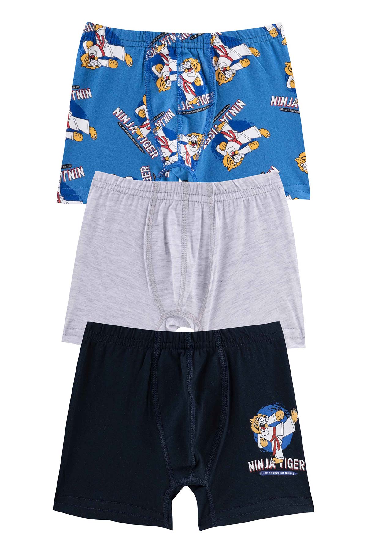 Domi Kids Erkek Çocuk Boxer 3'lü