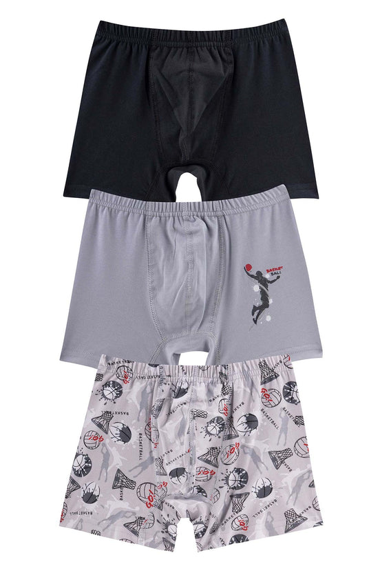 Domi Kids Erkek Çocuk Boxer 3'lü
