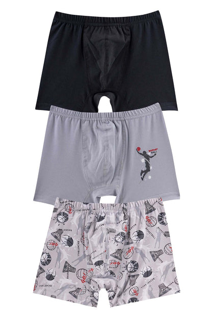 Domi Kids Erkek Çocuk Boxer 3'lü