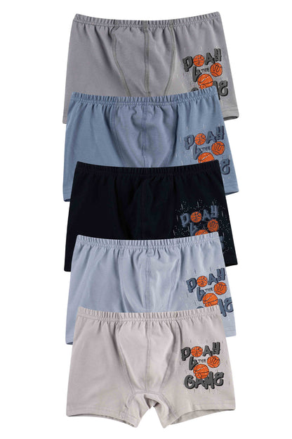 Domi Kids Erkek Çocuk Boxer Baskılı