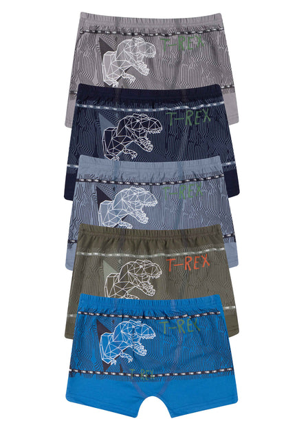 Domi Kids Erkek Çocuk Boxer Baskılı