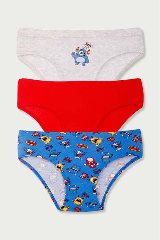 Domi Kids Erkek Çocuk Slip Külot 3'lü