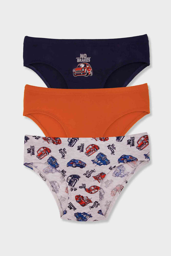 Domi Kids Erkek Çocuk Slip Külot 3'lü