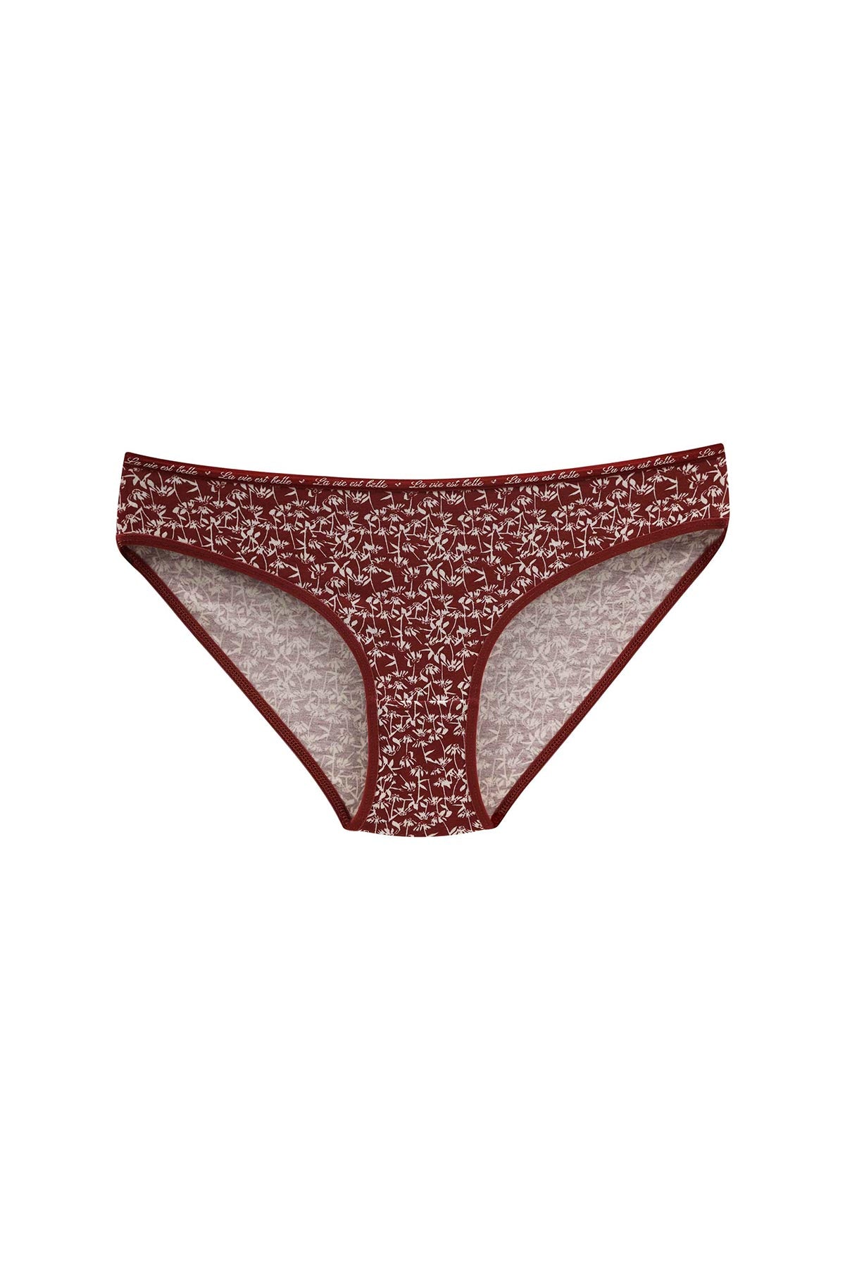 Dominant Kadın Slip Bikini Külot 7'li Desenli