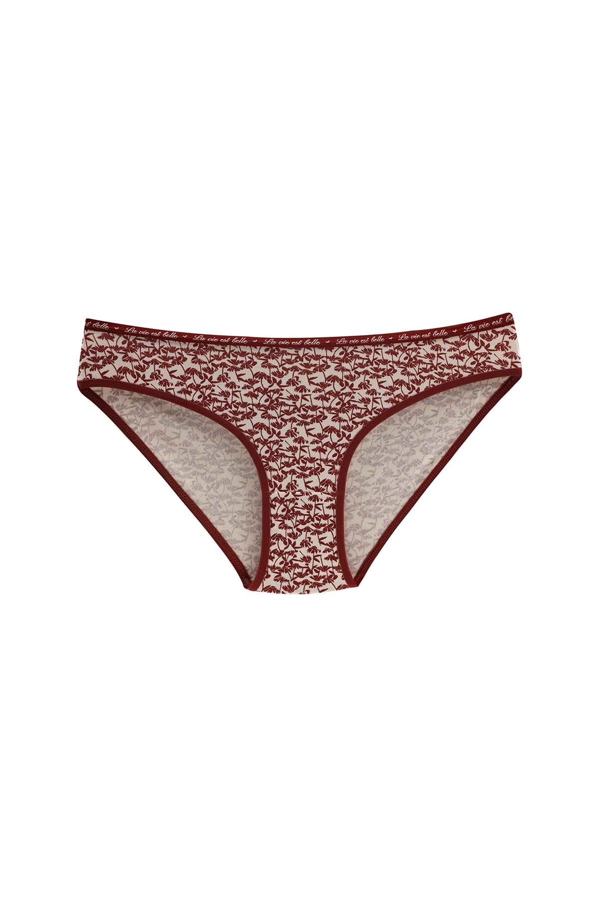 Dominant Kadın Slip Bikini Külot 7'li Desenli
