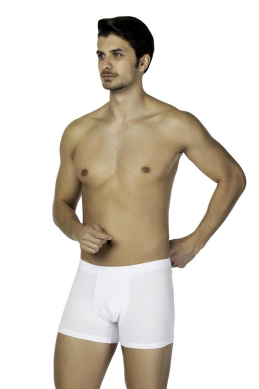Ds Damat Erkek Boxer Hipster Trendy 2'li