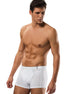 Erdem Erkek Boxer Pamuk Elastan