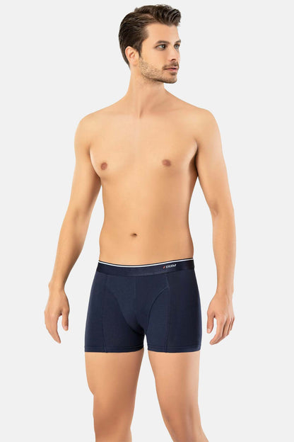 Erdem Erkek Boxer Pamuk Elastan Klasik