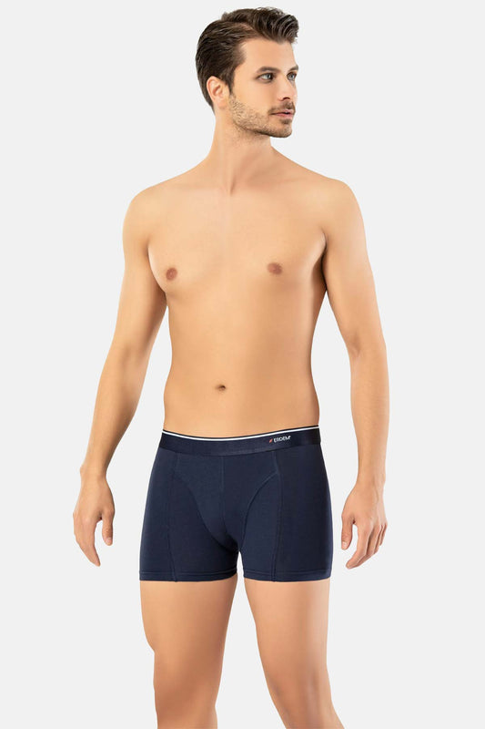 Erdem Erkek Boxer Pamuk Elastan Klasik