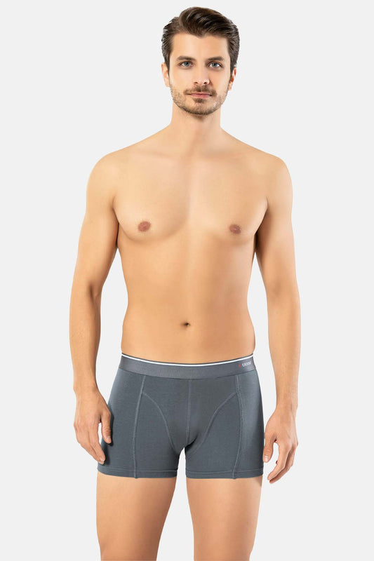 Erdem Erkek Boxer Pamuk Elastan Klasik