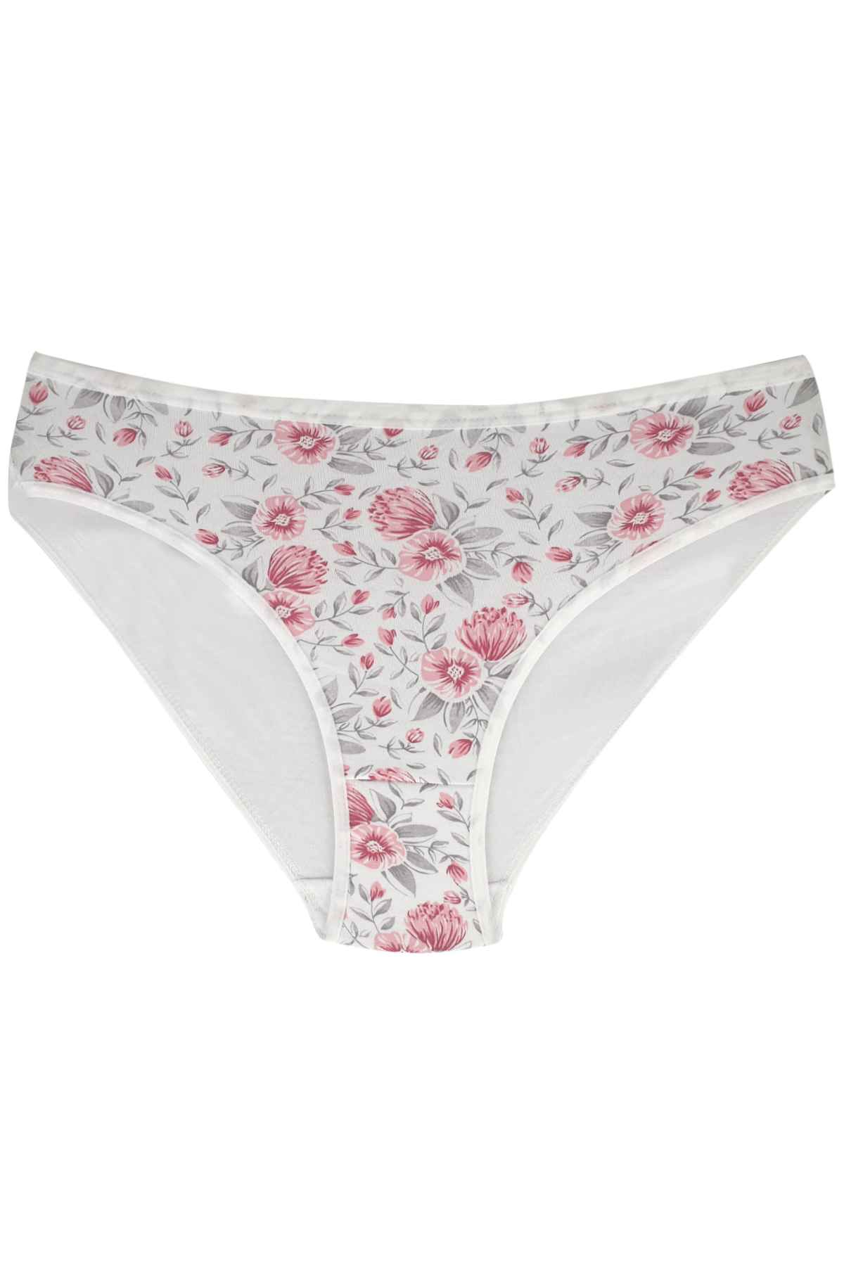 Kota Kadın Slip Külot Pamuklu