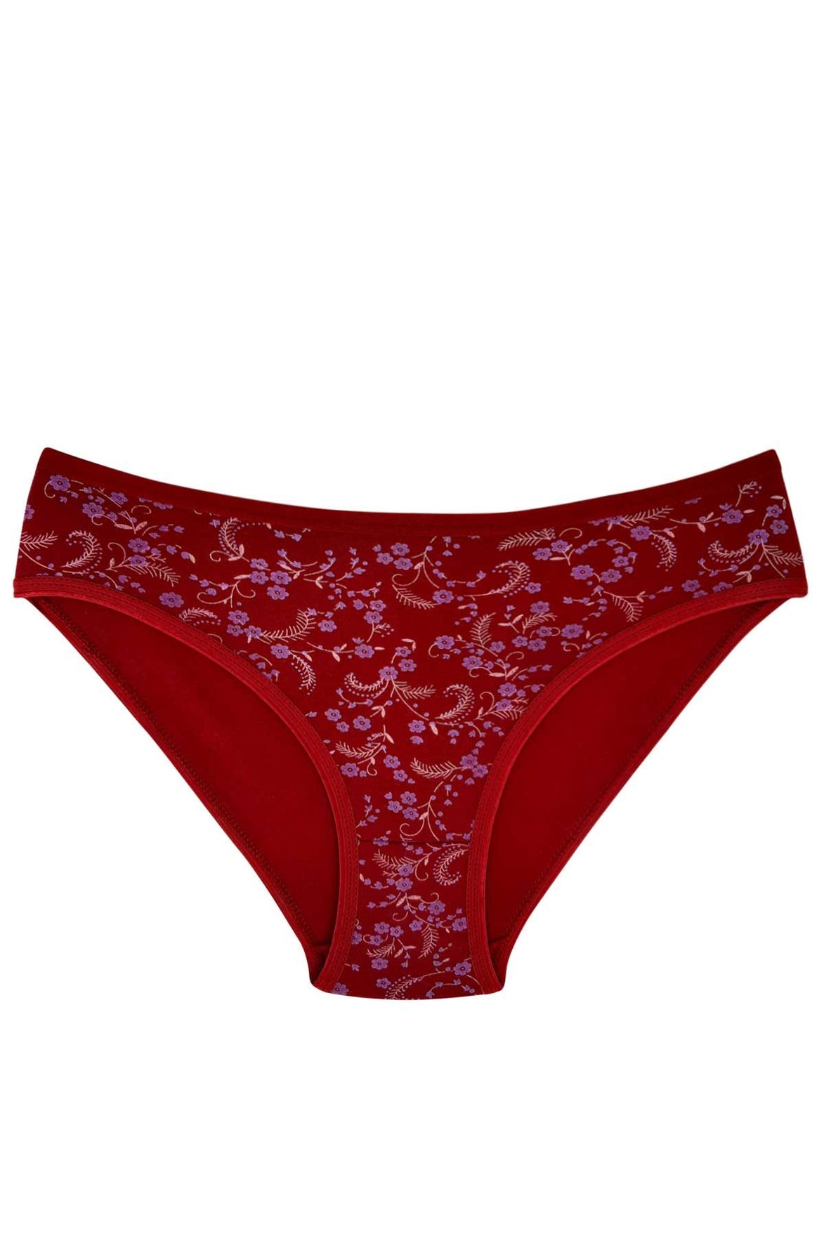 Kota Kadın Slip Külot Pamuklu