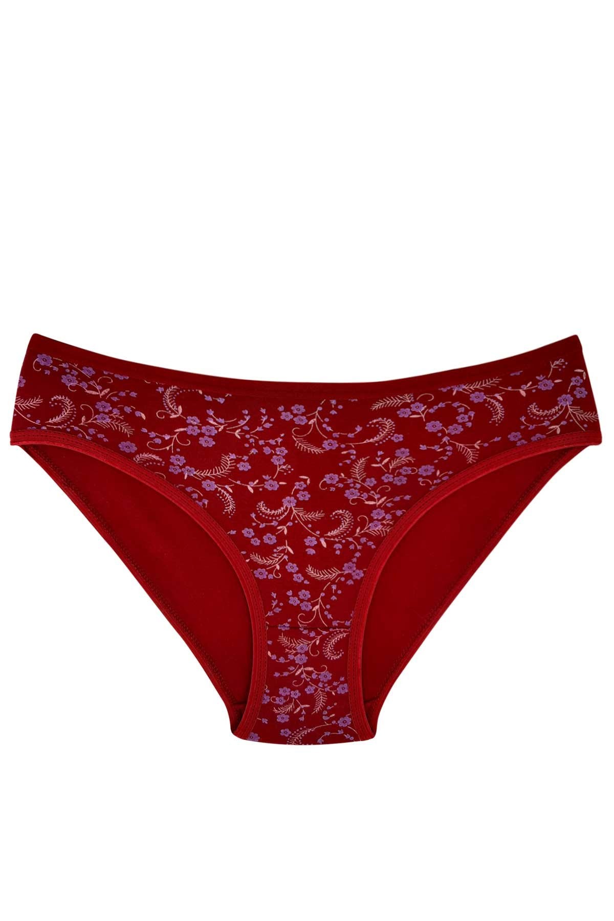 Kota Kadın Slip Külot Pamuklu