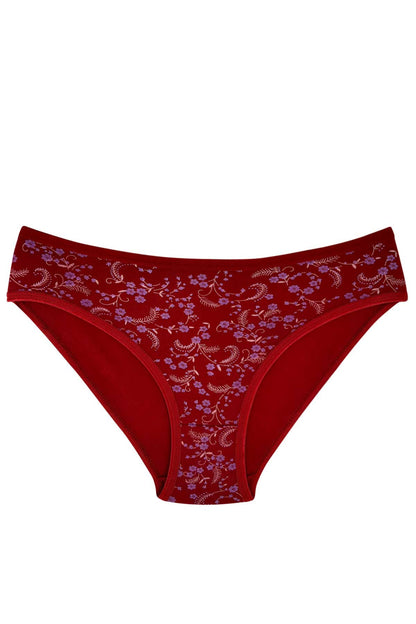 Kota Kadın Slip Külot Pamuklu