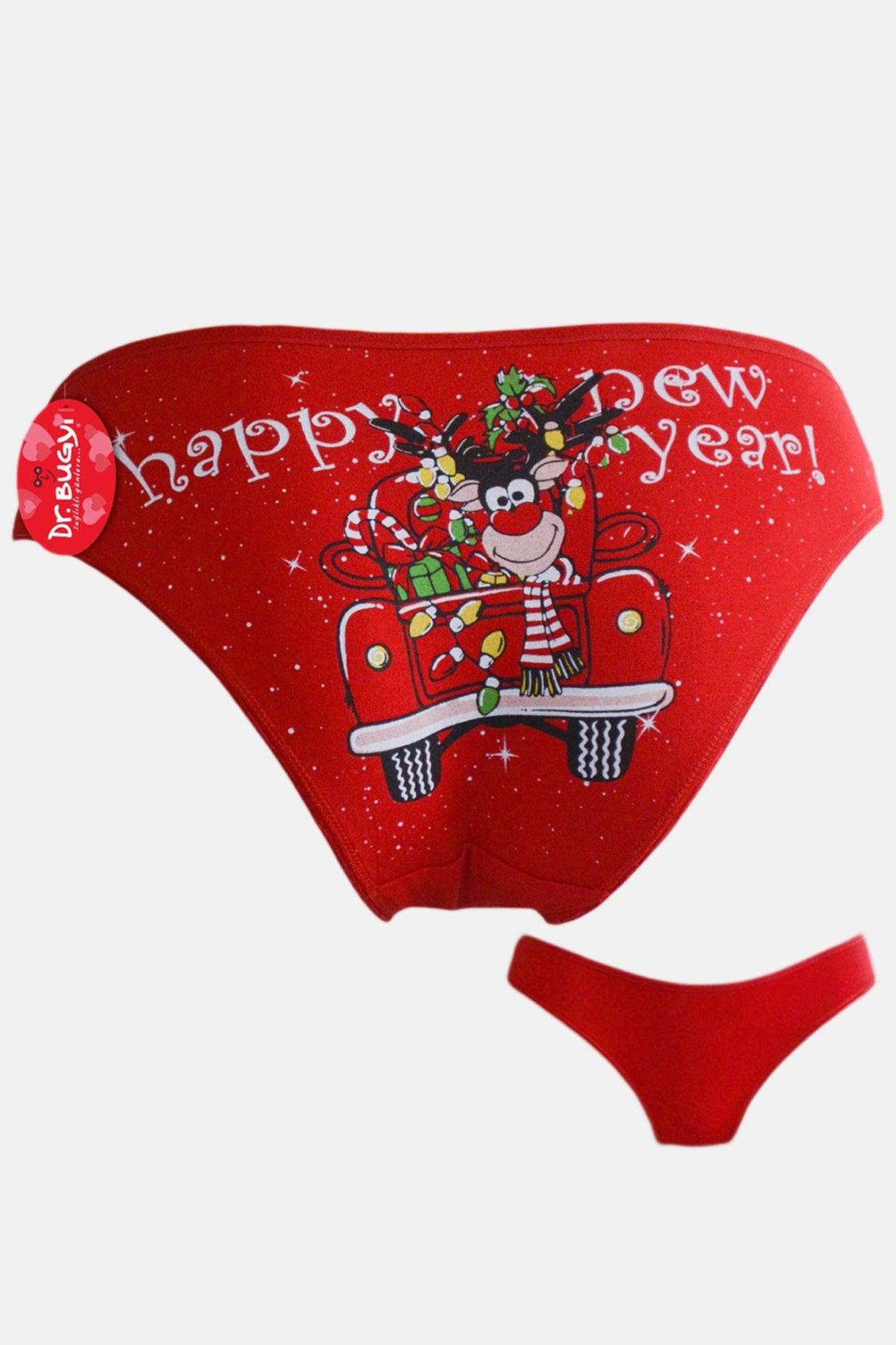 Papatya Dr Bungy Kadın Bikini Külot Yılbaşı Baskılı